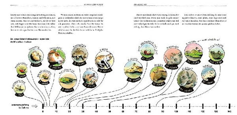 9783954702855 - Sample content