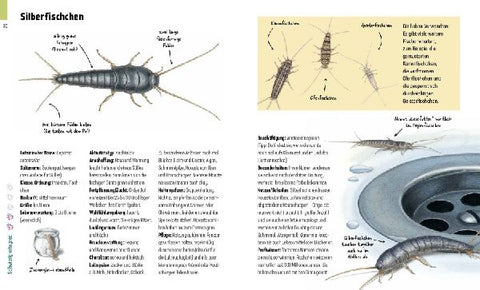 9783954703098 - Sample content