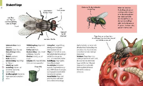 9783954703098 - Sample content