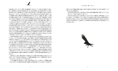 9783957280770 - Sample content