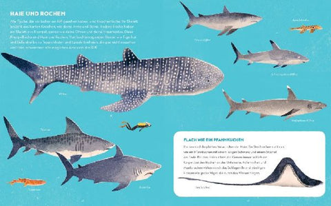 9783957284778 - Sample content