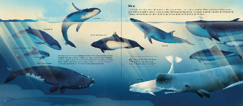 9783957284815 - Sample content