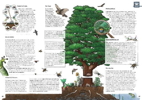 9783957285232 - Sample content