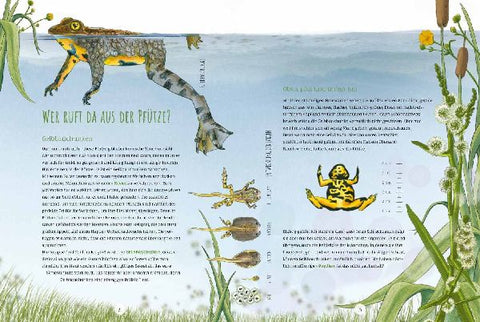 9783957285300 - Sample content