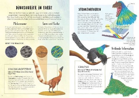 9783957287519 - Sample content