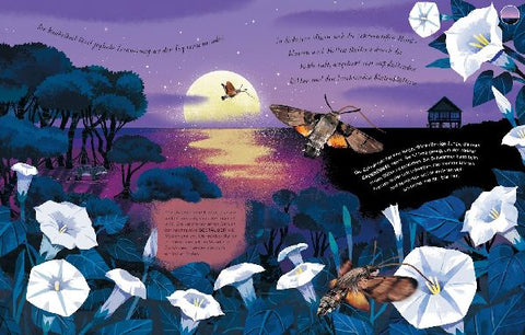 9783957288493 - Sample content