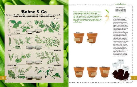 9783959390729 - Sample content