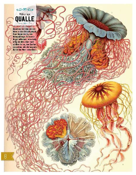 9783959390729 - Sample content