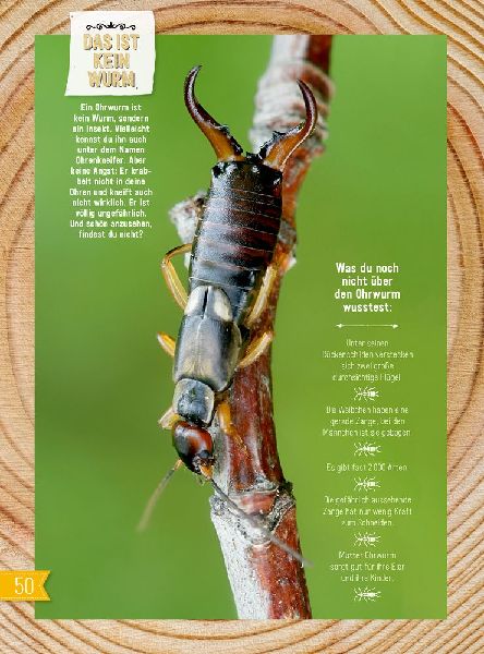 9783959390958 - Sample content