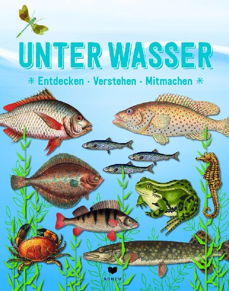 9783959392181 - Sample content