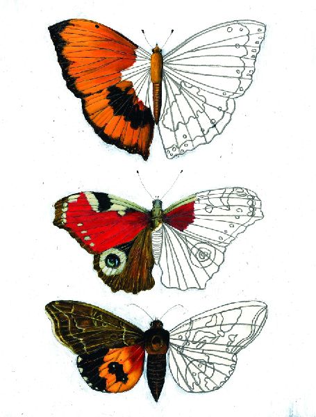 9783959392280 - Sample content