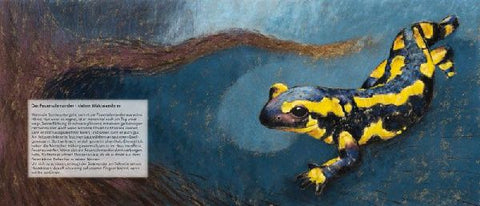 9783963040429 - Sample content