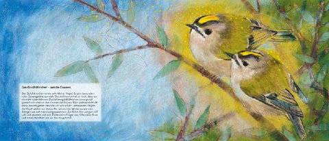 9783963040429 - Sample content