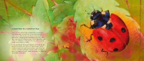 9783963040450 - Sample content