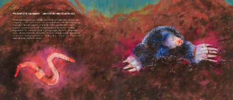 9783963040450 - Sample content