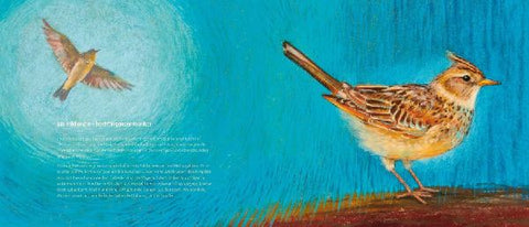 9783963040450 - Sample content