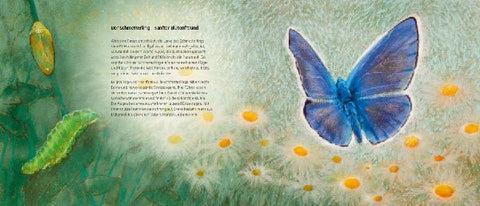 9783963040450 - Sample content