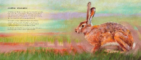 9783963040450 - Sample content