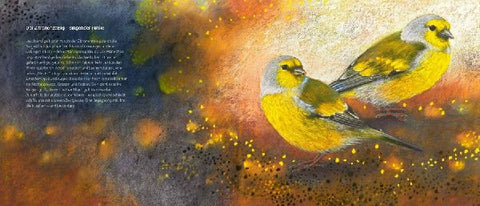 9783963040498 - Sample content