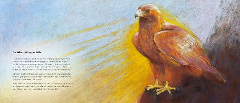 9783963040498 - Sample content