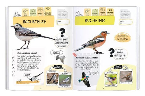 9783964553140 - Sample content