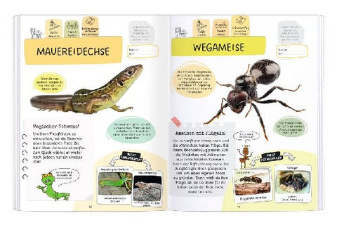 9783964553171 - Sample content