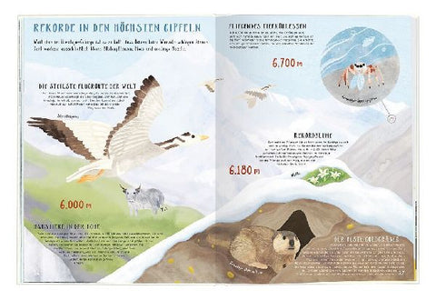 9783964553539 - Sample content