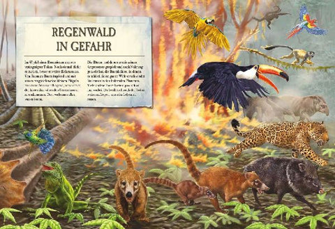 9783968080055 - Sample content