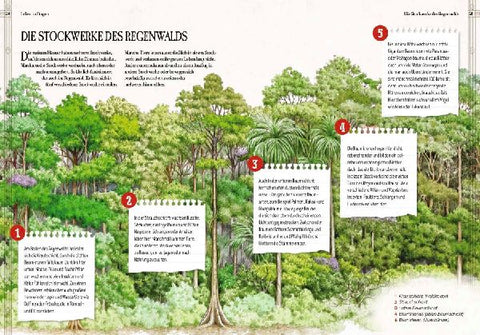 9783968080055 - Sample content