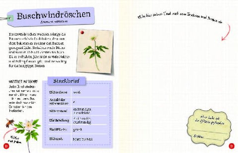 9783968080093 - Sample content