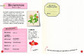 9783968080093 - Sample content