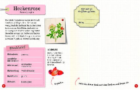 9783968080093 - Sample content