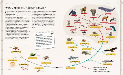 9783968080109 - Sample content