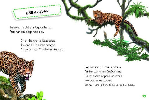 9783968080116 - Sample content