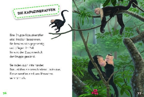 9783968080116 - Sample content