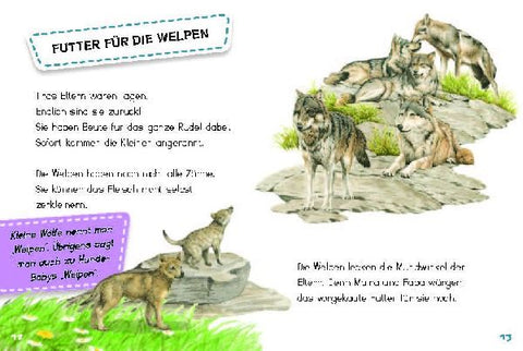 9783968080123 - Sample content