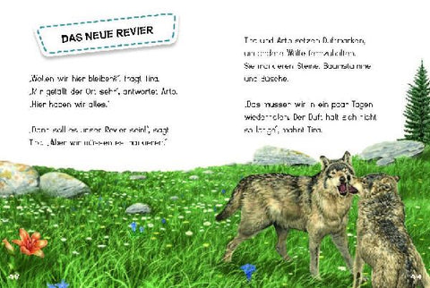 9783968080123 - Sample content