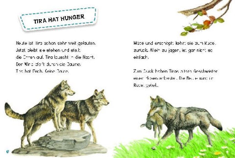 9783968080123 - Sample content