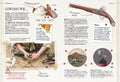 9783968080130 - Sample content