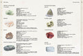 9783968080130 - Sample content