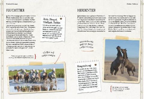 9783968080185 - Sample content