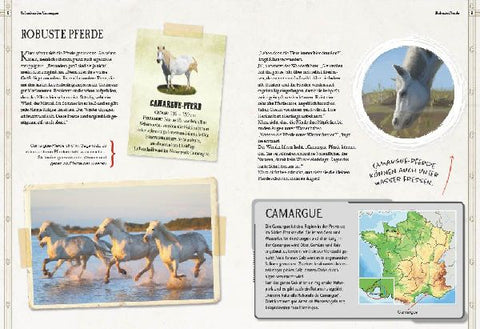 9783968080185 - Sample content