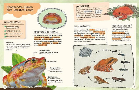 9783968080321 - Sample content