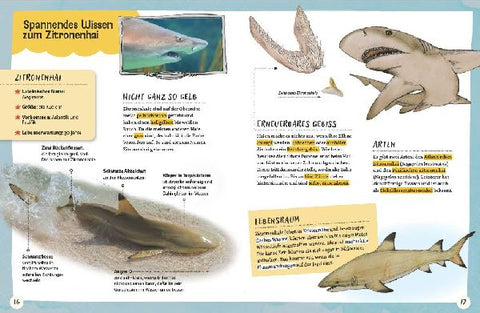 9783968080321 - Sample content