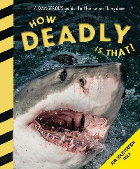 9798225083731 - Front cover