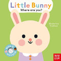 9798887771182 - Front cover