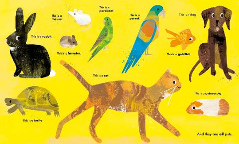 9798887772561 - Sample content